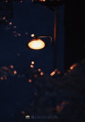 83F9255F-D091-414D-BF35-7ED4CEEBE045/L0/001