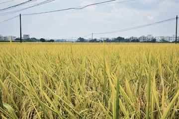 51B5F6D4-FF6B-41D3-A83C-46D839FC9B01/L0/001