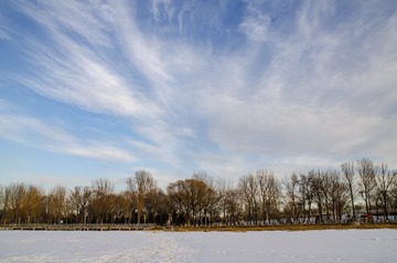 2825427