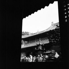 Untitled-5