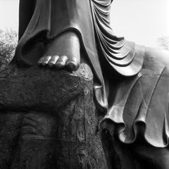 Untitled-6