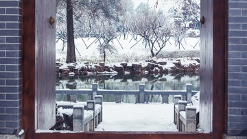 冻雨加大雪后的梅园6 (1 - 1)