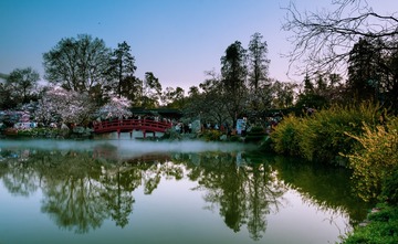 樱花园3208-9213