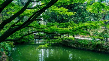 0406植物园13-9306