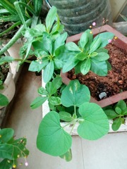 IMG_20161013_143821_123