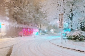 05C7F99A-8F29-4B0C-8D4A-EFB2CB1FBAAB/L0/001