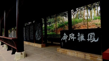 DSC08516 (2)
