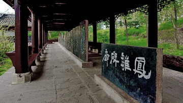 DSC08519
