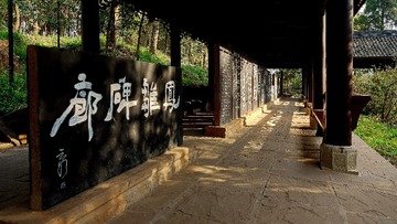 DSC08520 (2)