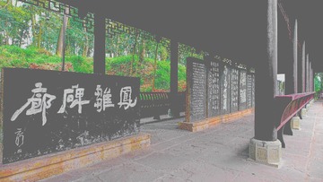 DSC08517 (2)