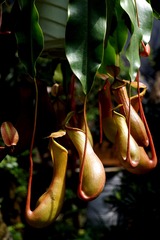 DSC04847