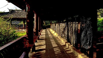 DSC08522