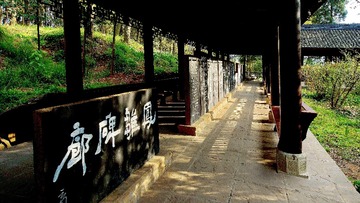 DSC08521 (2)
