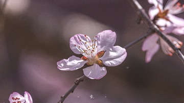 76B91F09-55B2-47A1-9648-AE8BB8C10ADD/L0/001