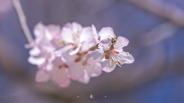 53B6221A-CB05-49E7-ACAF-6BF3505A9C26/L0/001