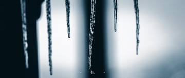 83F6C159-F9A1-46F2-9F96-CCEA4468AE53/L0/001