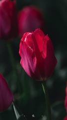 6079688B-0884-4F64-BC32-FCB10FD7F47B/L0/001