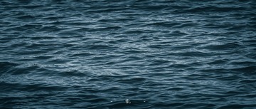 40307AF0-AF0D-4F5A-B89F-BFE9E45B2A1D/L0/001