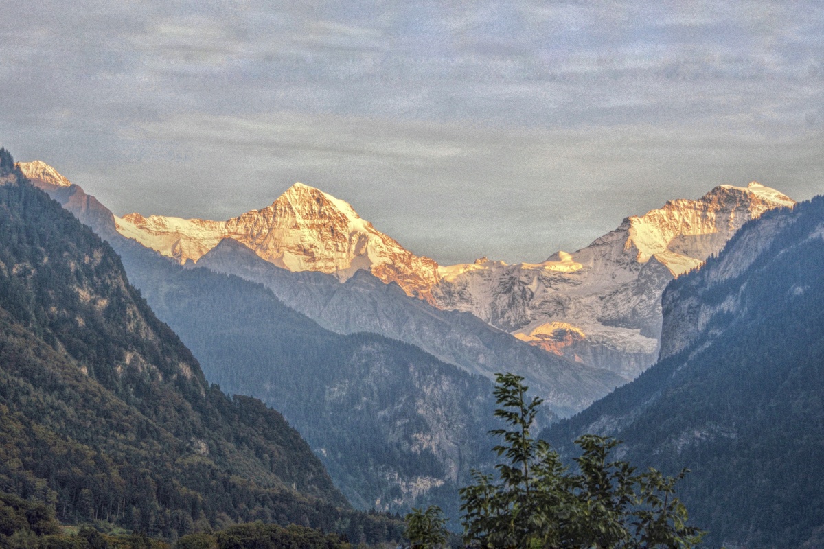 夕阳下金色阿尔卑斯山瑞士