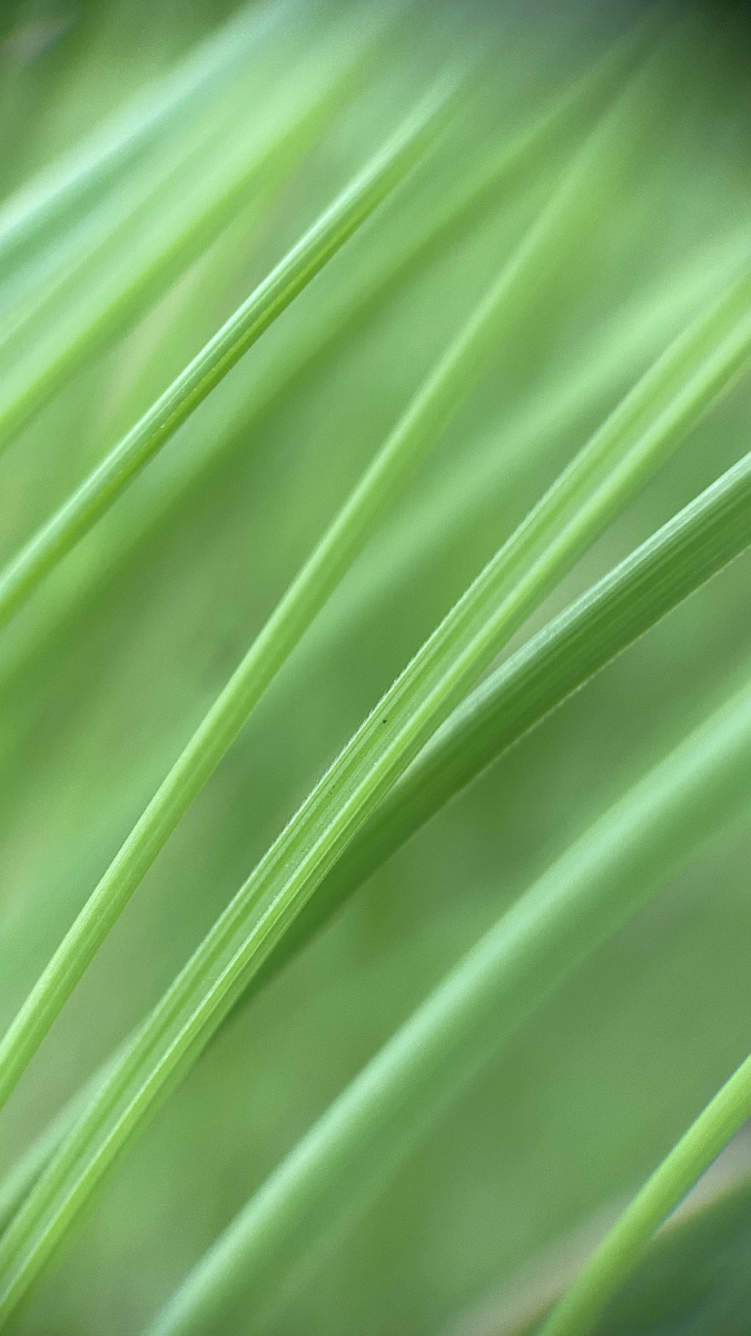 屏保- oldthree168 - 图虫