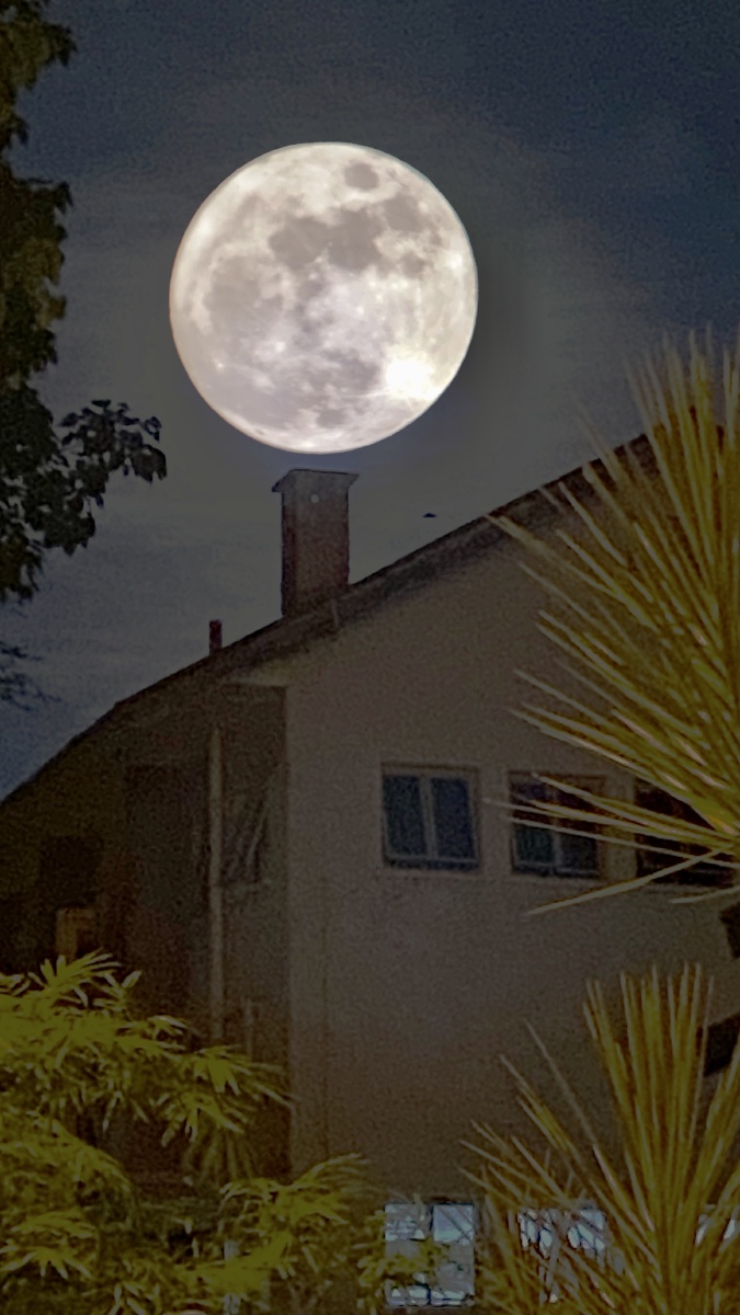 中秋月挂天上映木楼照小窗手机重曝