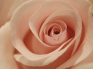 5F71FBF2-AB1B-4B2A-80CA-BA9A35CD580F/L0/001