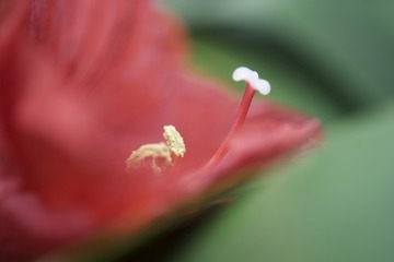 58F975A6-97D4-4F92-8646-3E2D1B4C3EC2/L0/001