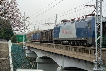 29629
