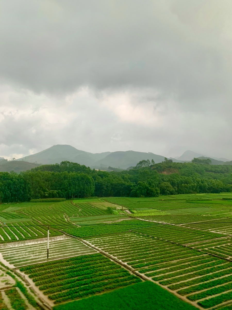 南方丘陵,广西 贵州