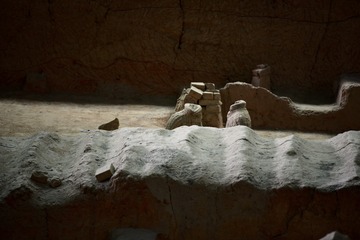 259651