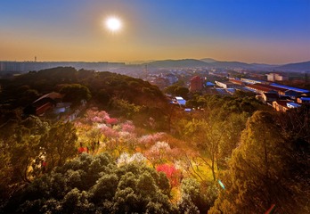 DSC_6734-发表
