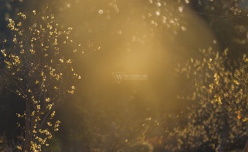 1152875