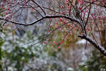 C736D20A-0925-4A4E-9632-3B219D04C759/L0/001