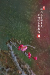 17D057EB-12A9-47EB-84E3-2BAB6962816D/L0/001