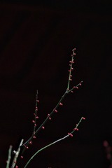 48E72353-1C29-46A3-AB8F-0C5F7715CA35/L0/001