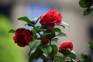 BBCF078D-4AEA-4510-9A7D-5154DFD28794/L0/001