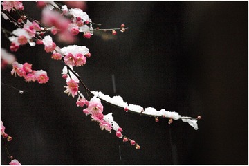 9C615C7B-0969-48B8-B111-3AB995CA5294/L0/001