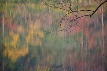 37EB375D-E7A7-4A24-BFC3-765DD4595DBA/L0/001
