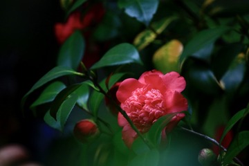 139EDB69-F965-4408-9D7C-73FE72B343A9/L0/001