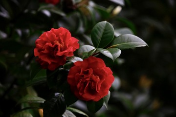 D57B6178-B705-45BD-8425-445CDF55F5DA/L0/001