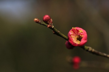 2F8F928D-6442-4984-866D-A792CF4459D1/L0/001
