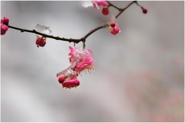 47D9C733-C7C4-4F46-AFA9-E30C32768252/L0/001