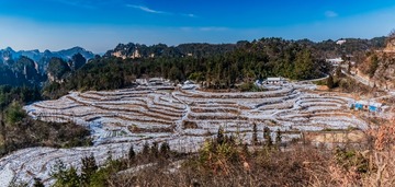 IMG_4974-Pano