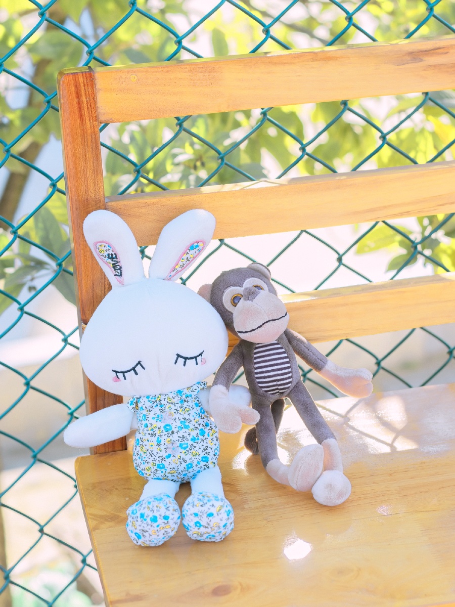 兔子跟猴子都在一起了那你啥时才能跟我在一起