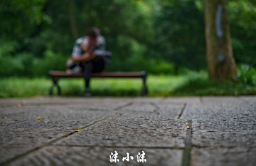 50DC5622-FA26-4FF3-B968-818340D23415/L0/001