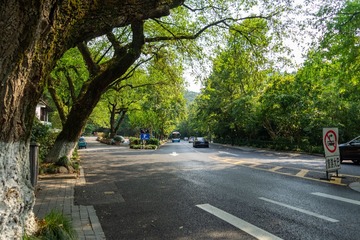 DSC04014