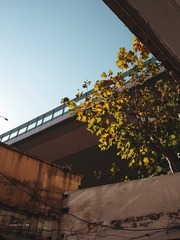 272845