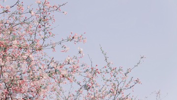 0638425B-5FBE-4B37-801F-22B26A31A628/L0/001