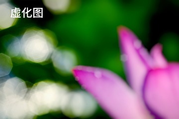 80828560-A68B-411C-AEE5-3EA59E1E553C/L0/001