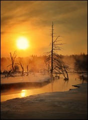 B4B89002-D847-49C3-836C-14EEA8940745/L0/001